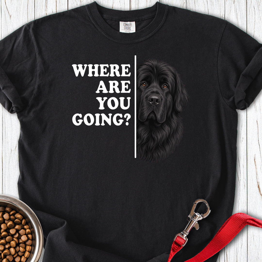 Newfoundland Where Are You Going Premium Tee — Black
