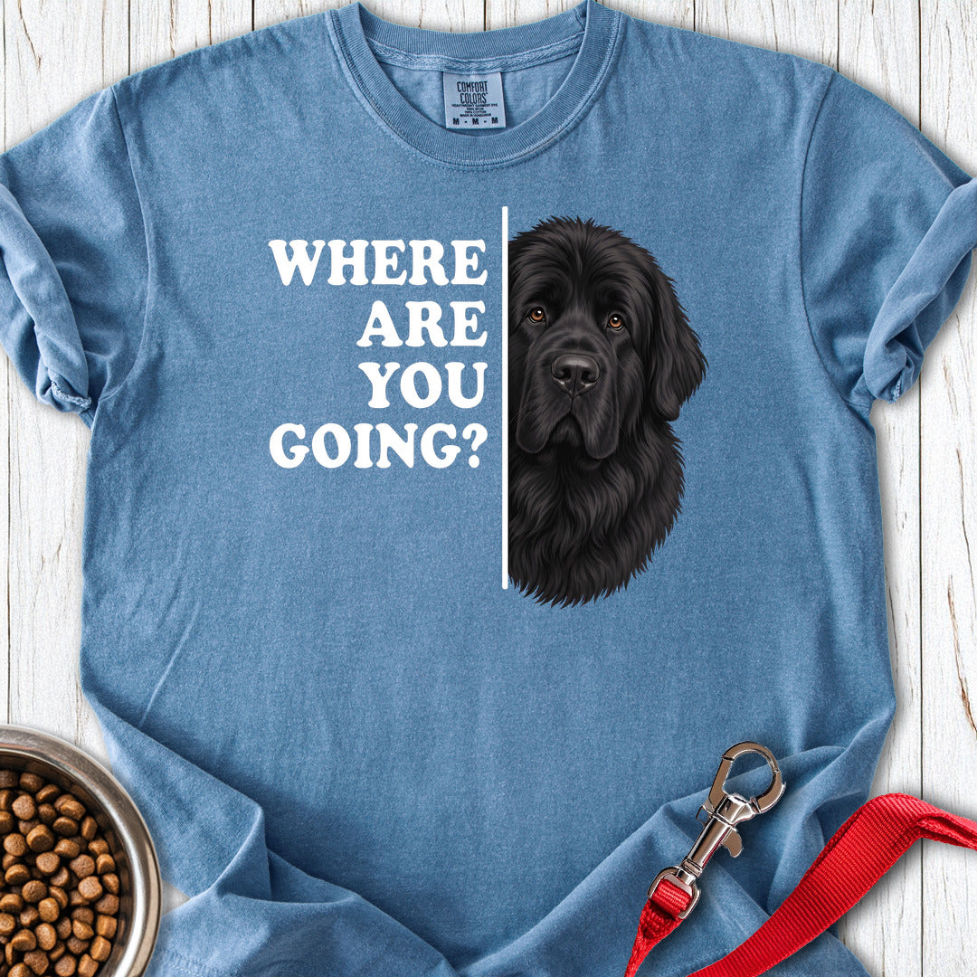 Newfoundland Where Are You Going Premium Tee — Blue Jean