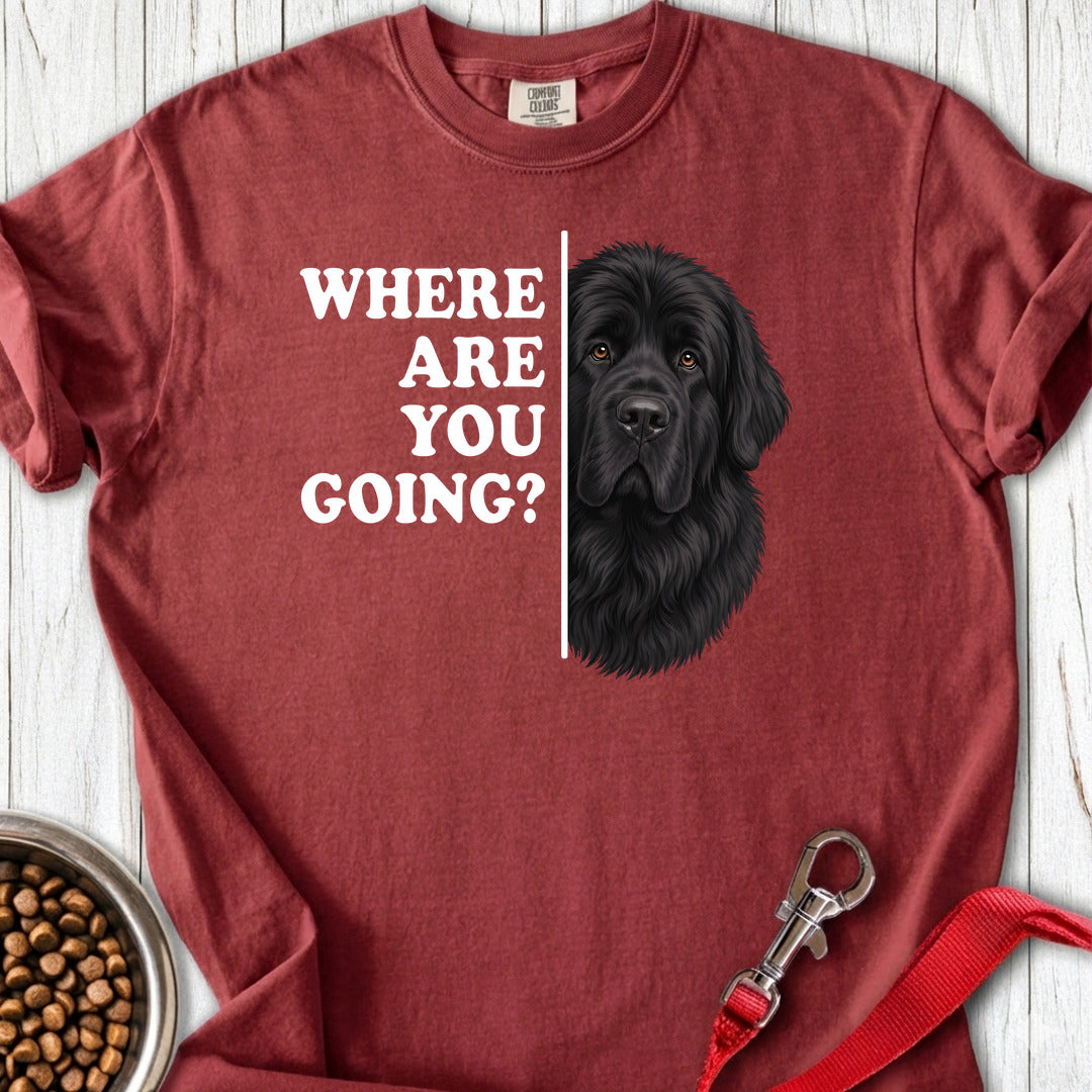Newfoundland Where Are You Going Premium Tee — Brick