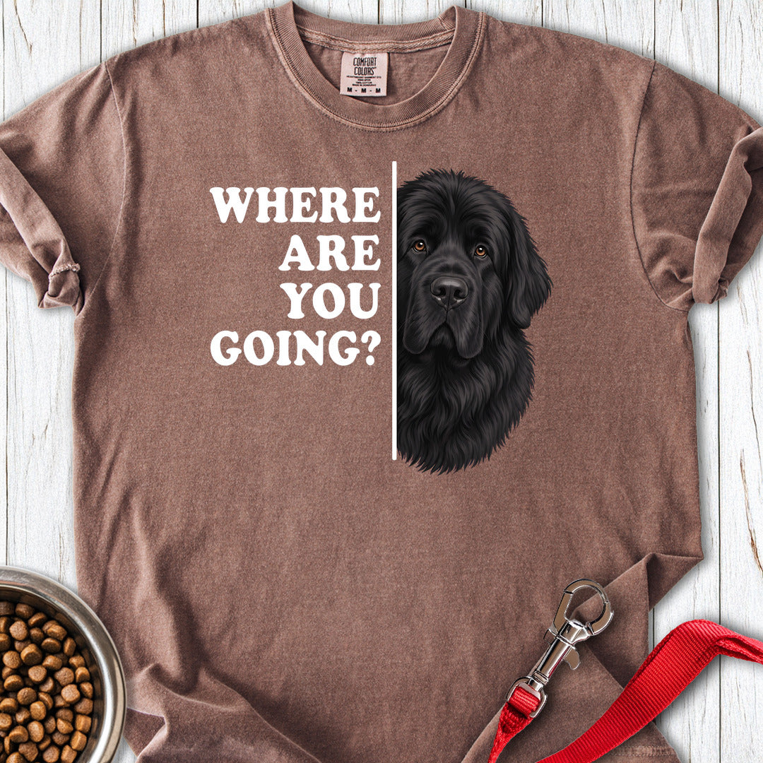 Newfoundland Where Are You Going Premium Tee — Espresso