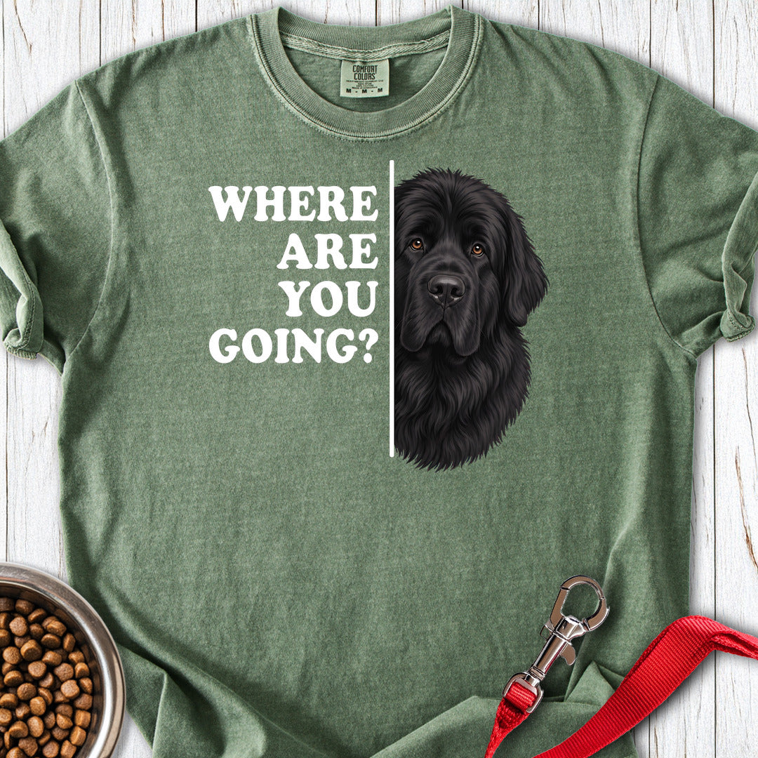 Newfoundland Where Are You Going Premium Tee — Moss