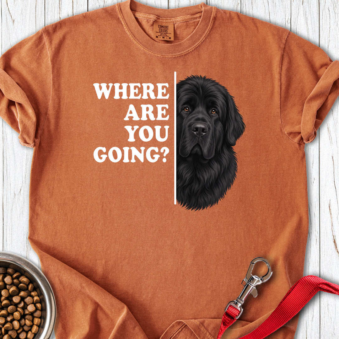 Newfoundland Where Are You Going Premium Tee — Yam