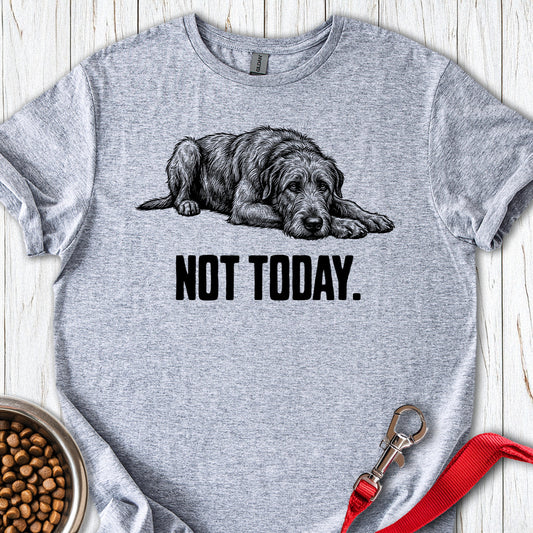 Not Today Irish Wolfhound Sport Grey