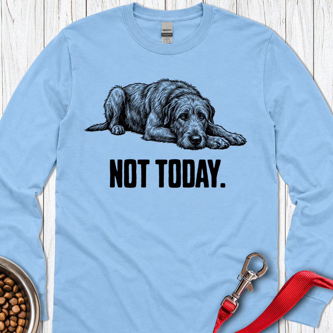 Not Today Irish Wolfhound Long Sleeve — Carolina Blue