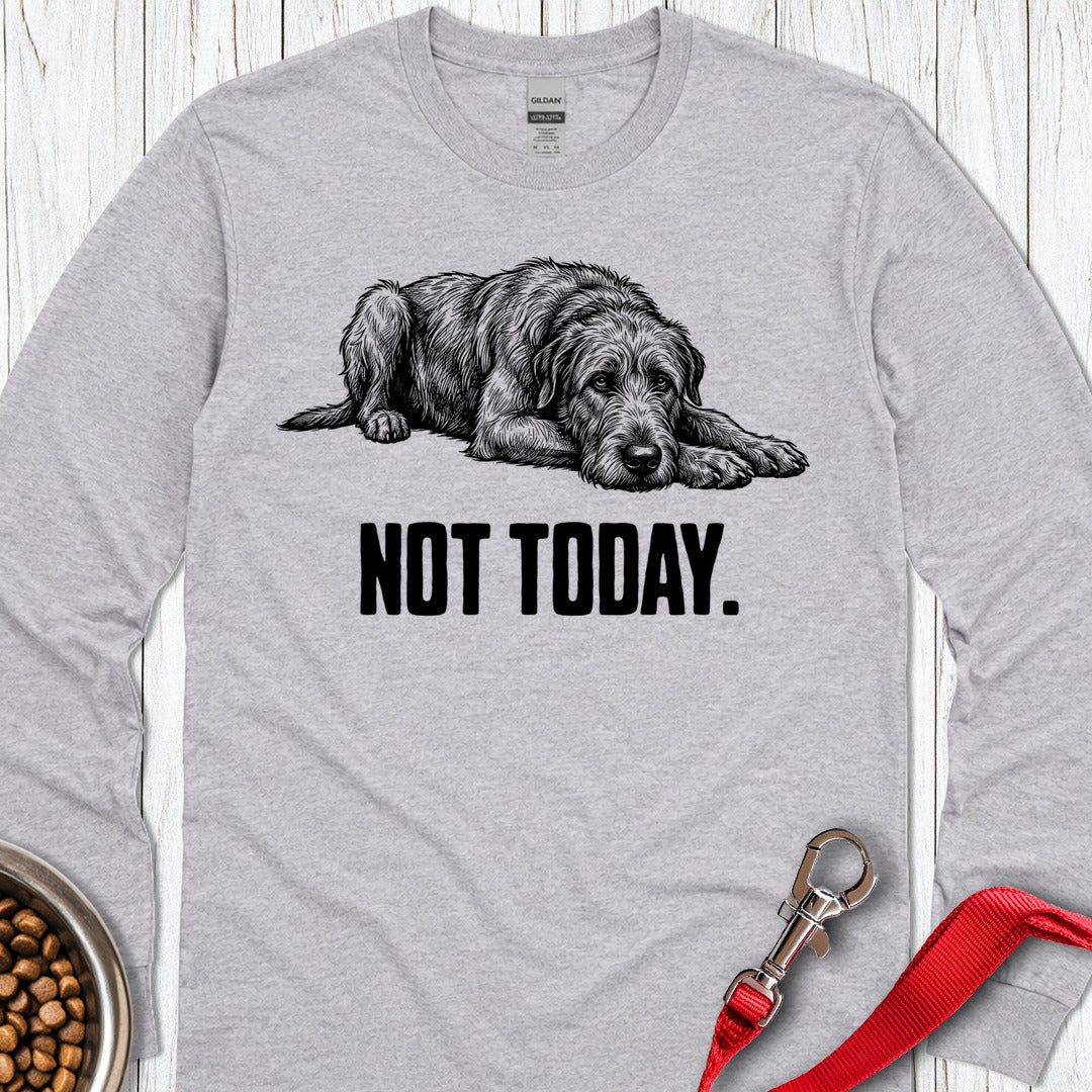 Not Today Irish Wolfhound Long Sleeve — Sport Grey