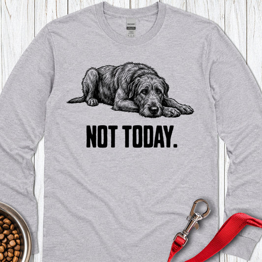 Not Today Irish Wolfhound Long Sleeve — Sport Grey