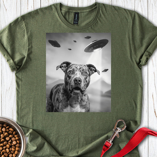 Pit Bull UFO Military Green
