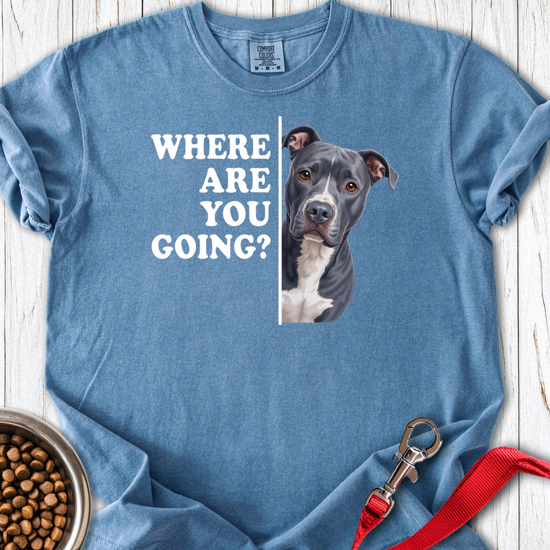 Pitbull Blue Where Are You Going Premium Tee — Blue Jean