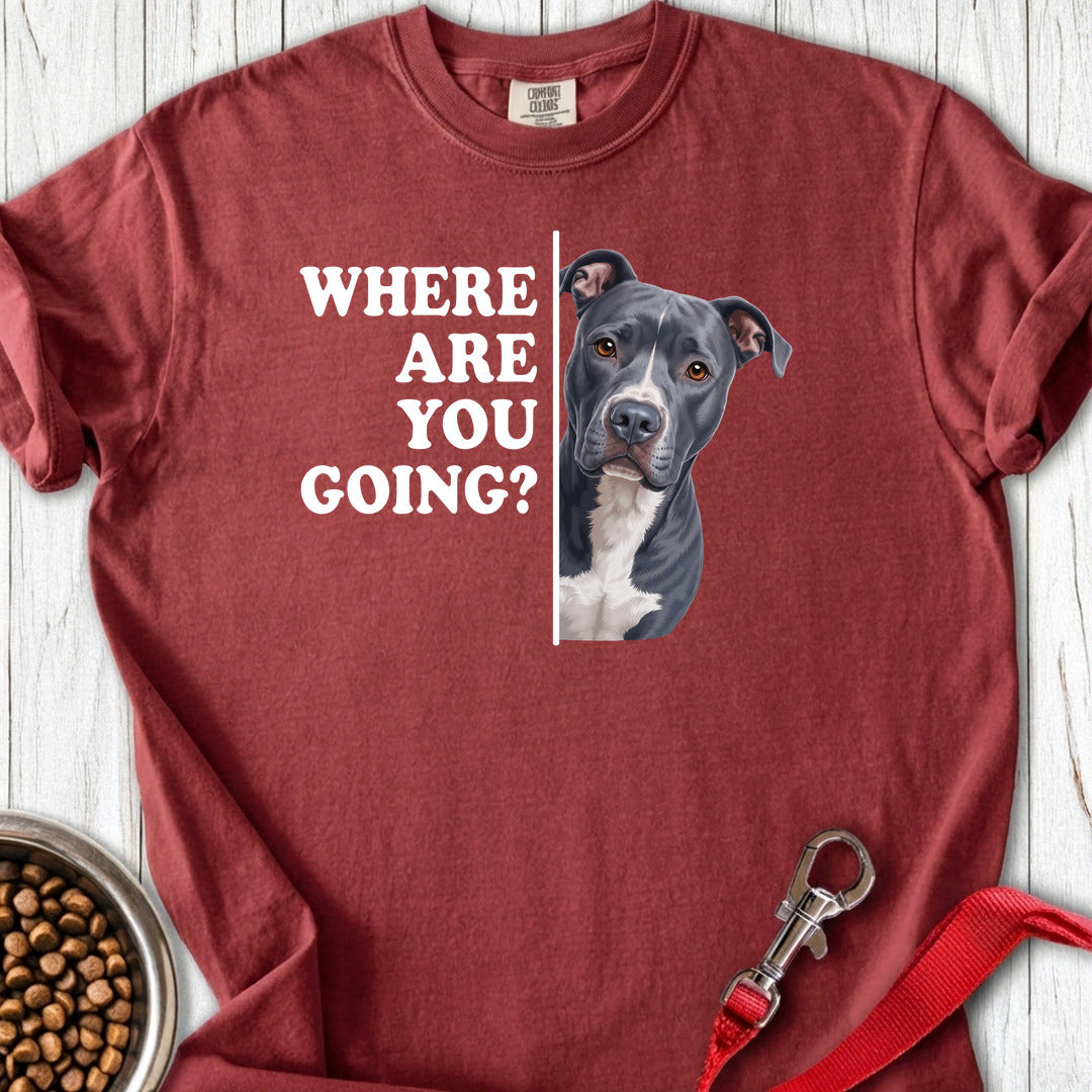 Pitbull Blue Where Are You Going Premium Tee — Brick