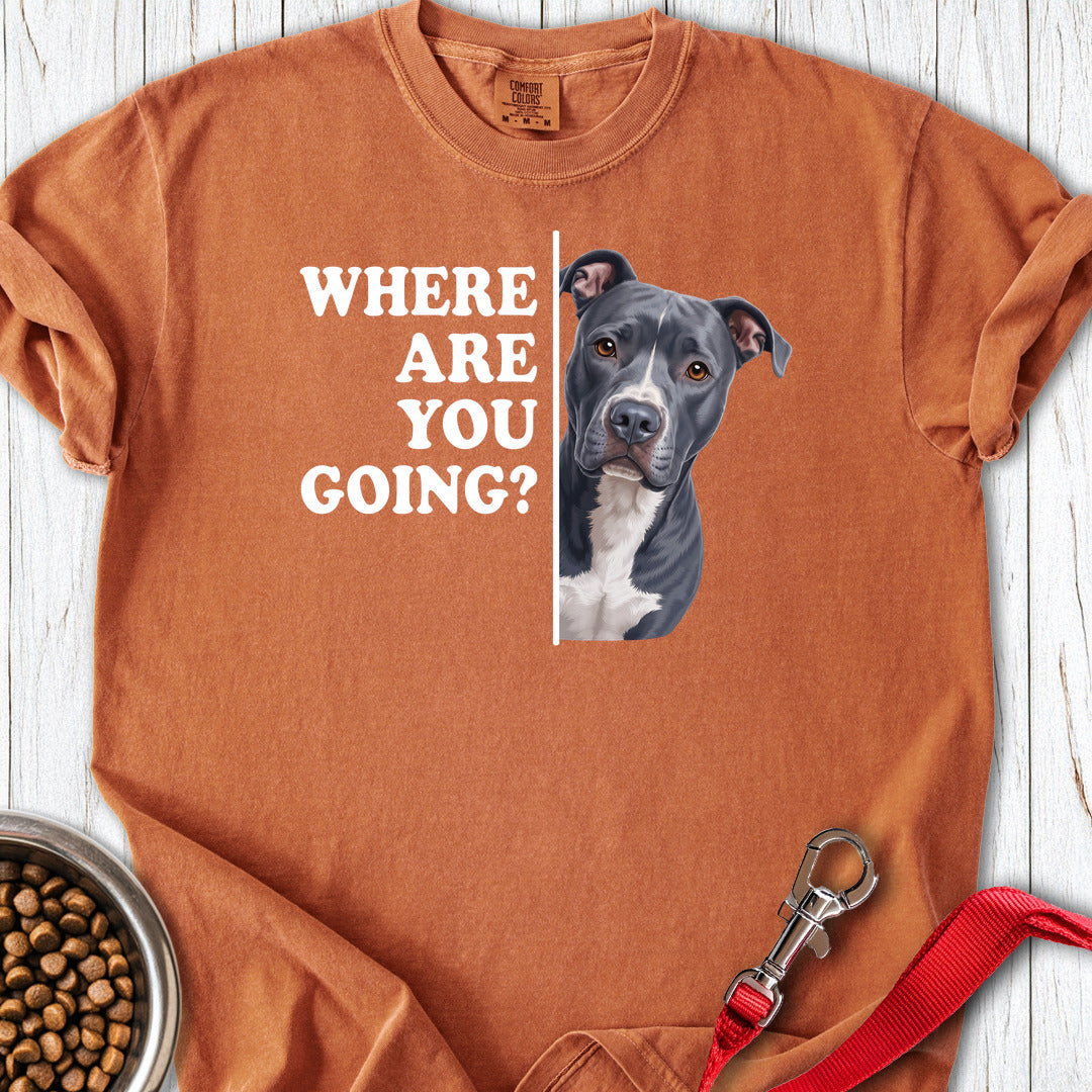 Pitbull Blue Where Are You Going Premium Tee — Yam