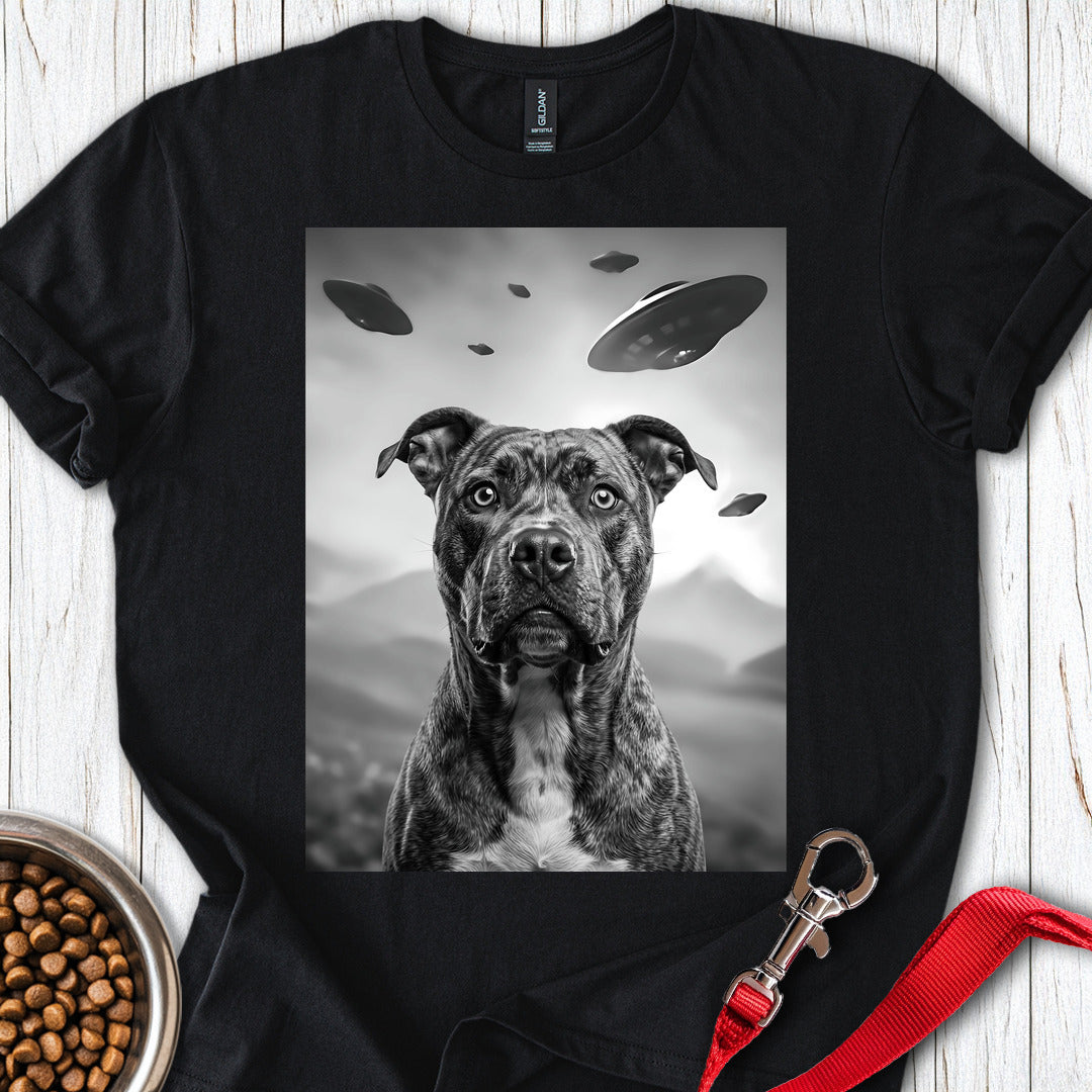 Pitbull UFO — Black