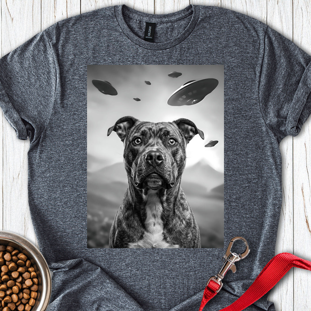 Pitbull UFO — Dark Heather
