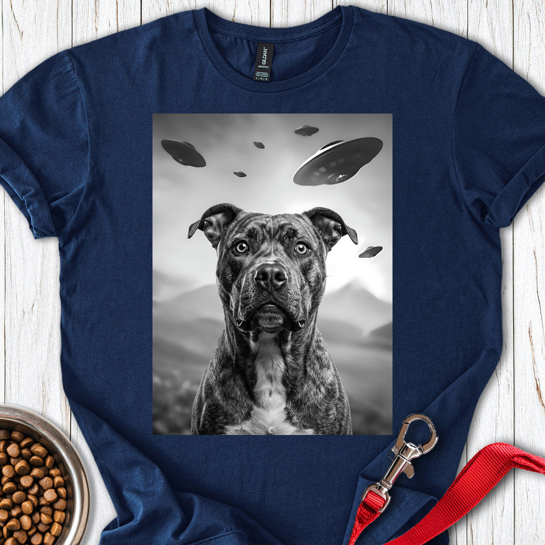 Pitbull UFO — Navy