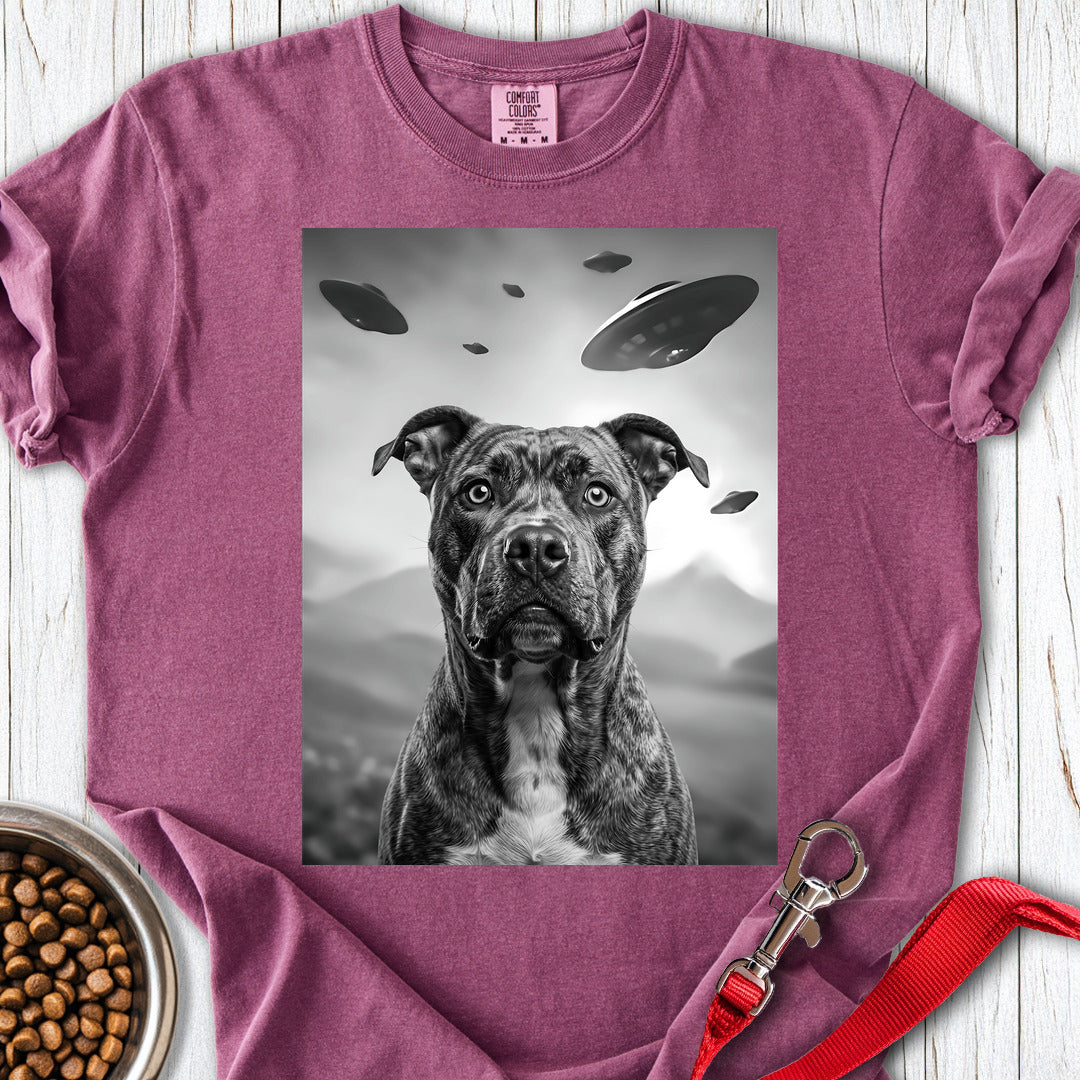 Pitbull UFO Premium Tee — Berry