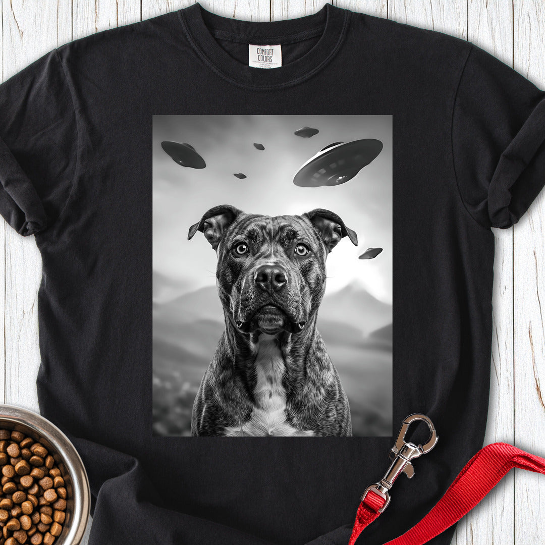 Pitbull UFO Premium Tee — Black