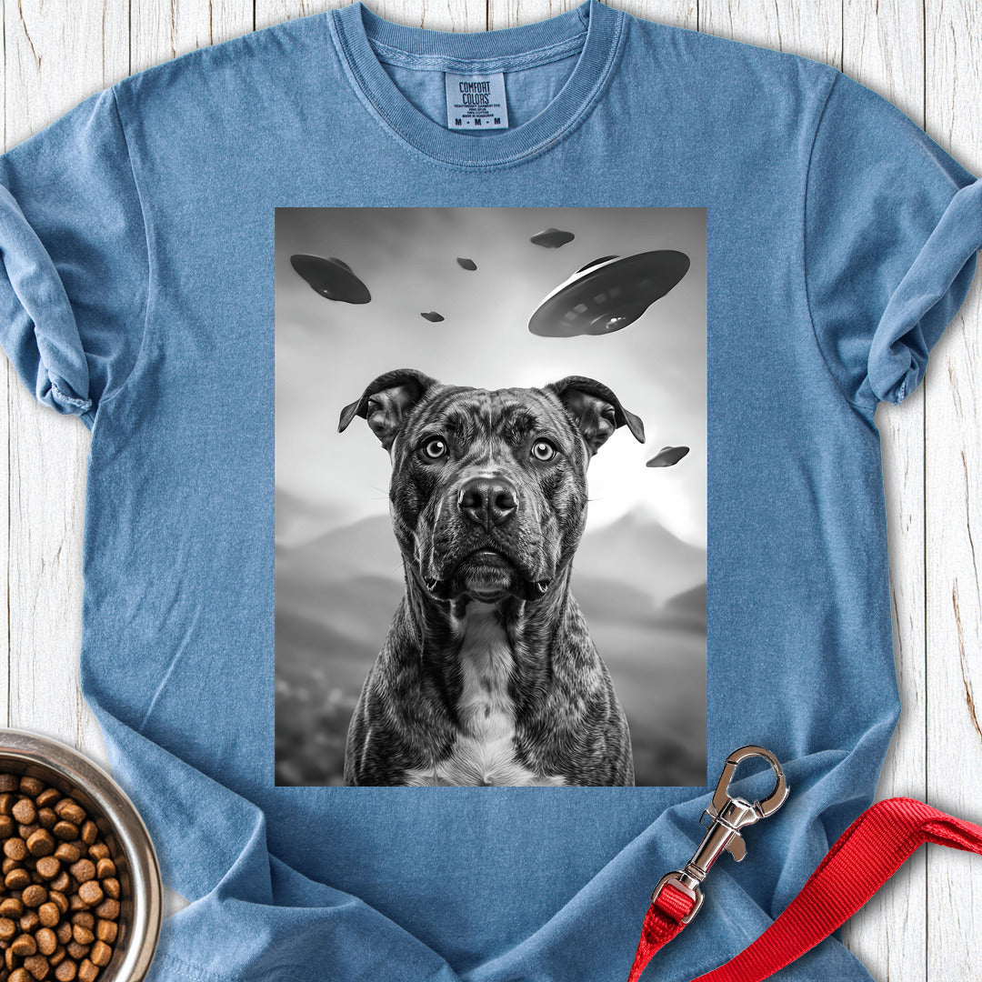 Pitbull UFO Premium Tee — Blue Jean