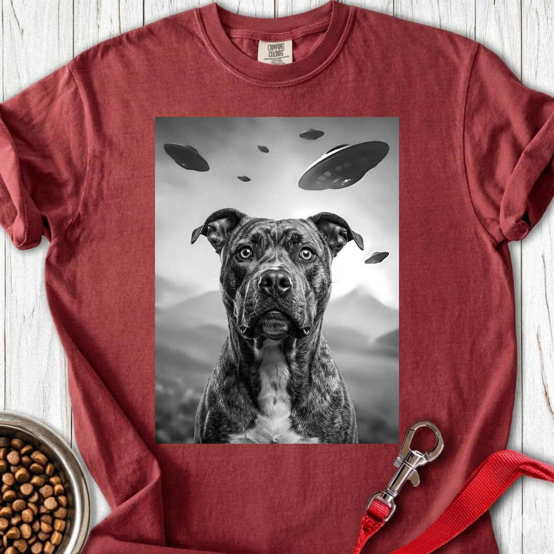 Pitbull UFO Premium Tee — Brick