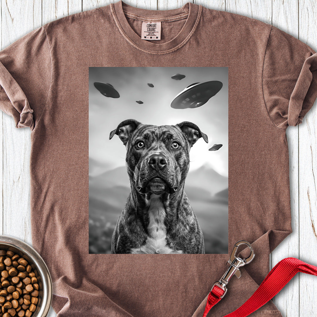 Pitbull UFO Premium Tee — Espresso