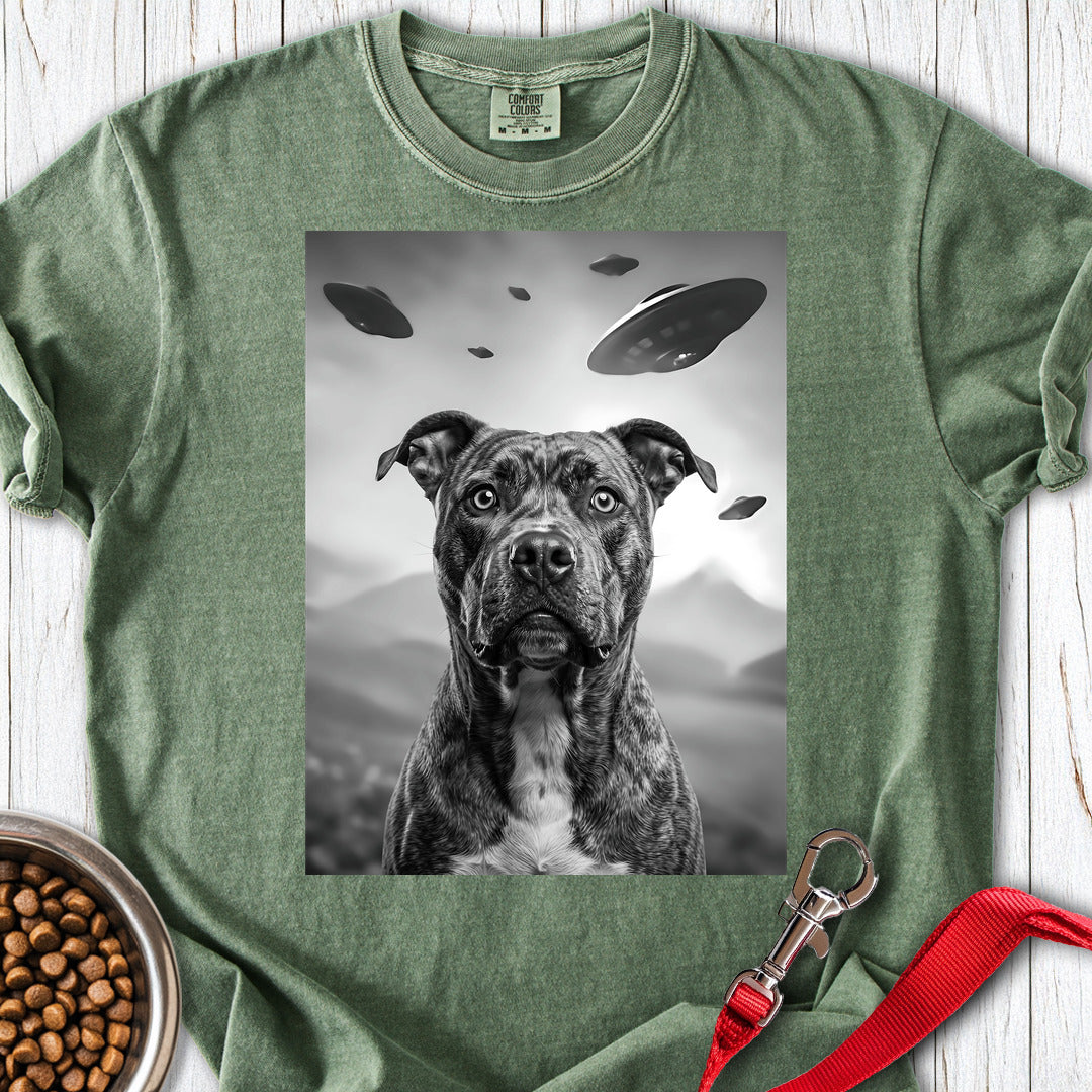 Pitbull UFO Premium Tee — Moss