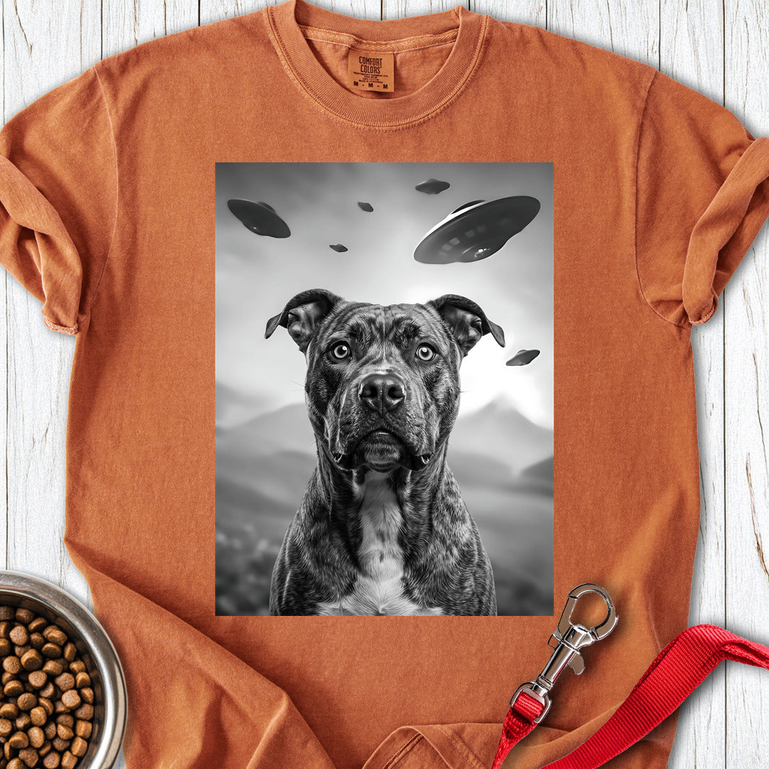 Pitbull UFO Premium Tee — Yam