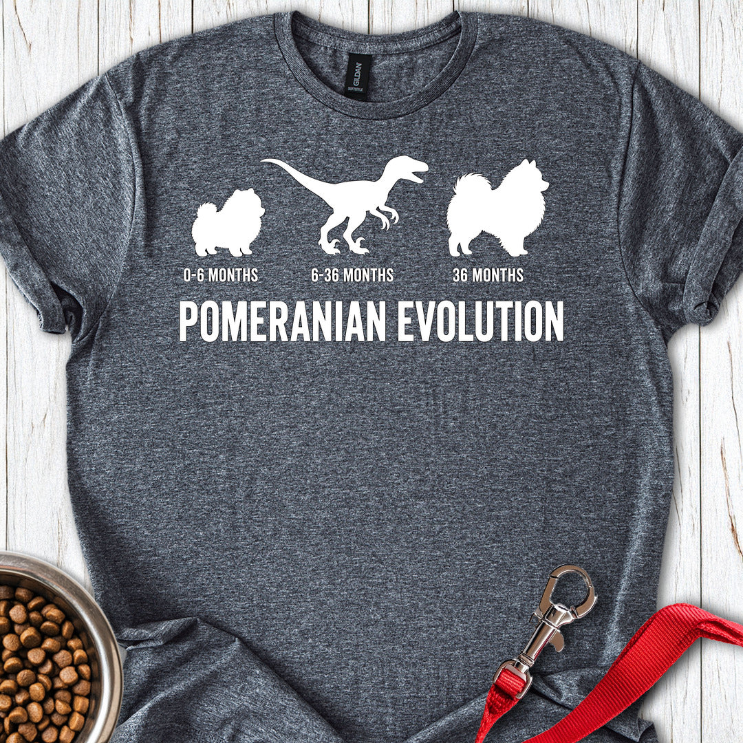 Pomeranian Evolution — Dark Heather