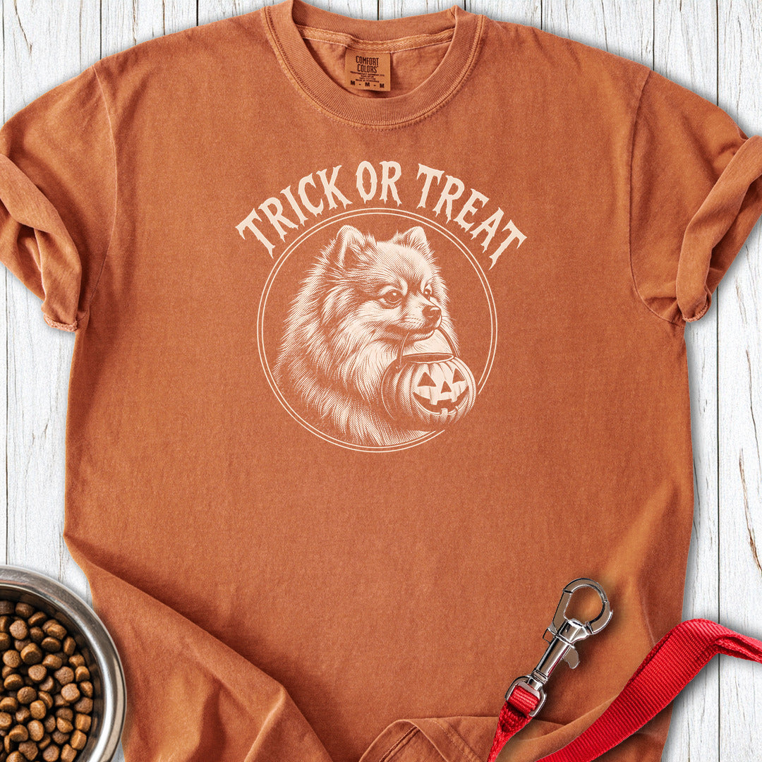 Pomeranian Trick Or Treat Premium Tee — Yam