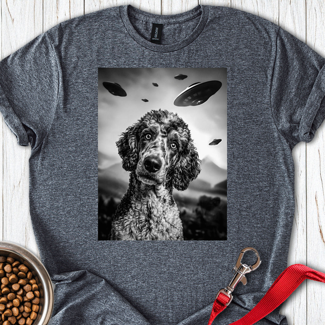 Poodle UFO — Dark Heather