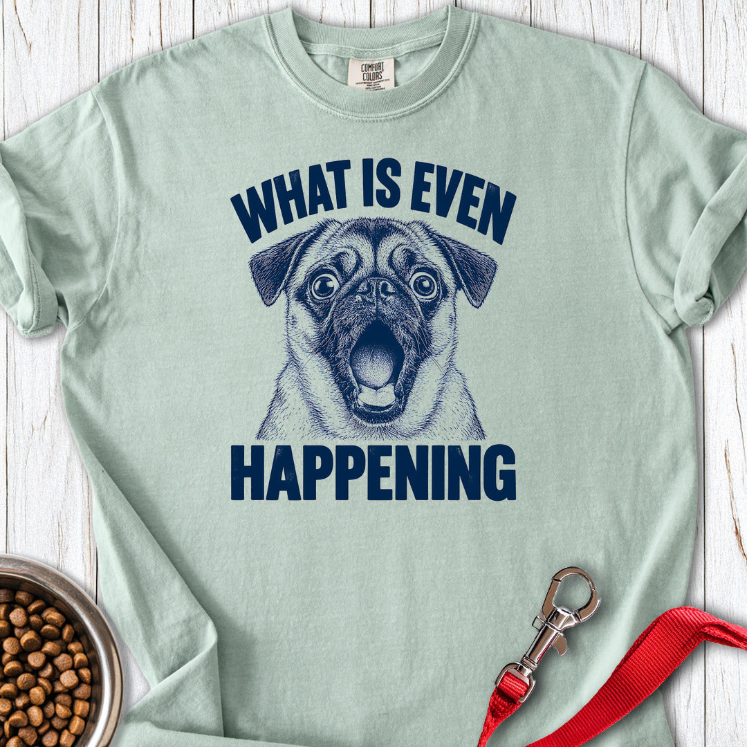 Pug What Is Even Happening Premium Tee — Bay