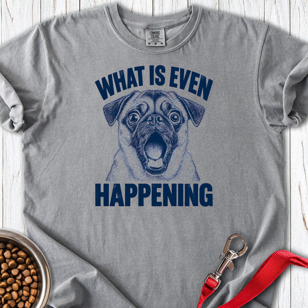 Pug What Is Even Happening Premium Tee — Grey
