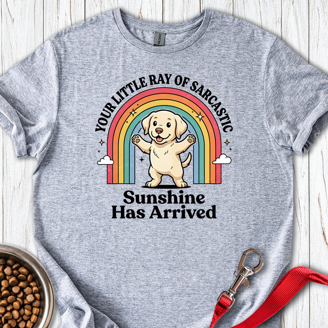 Sarcastic Sunshine Puppy Sport Grey