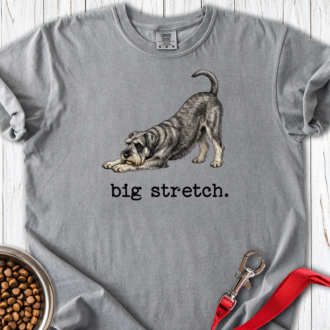 Schnauzer Big Stretch Premium Tee — Grey