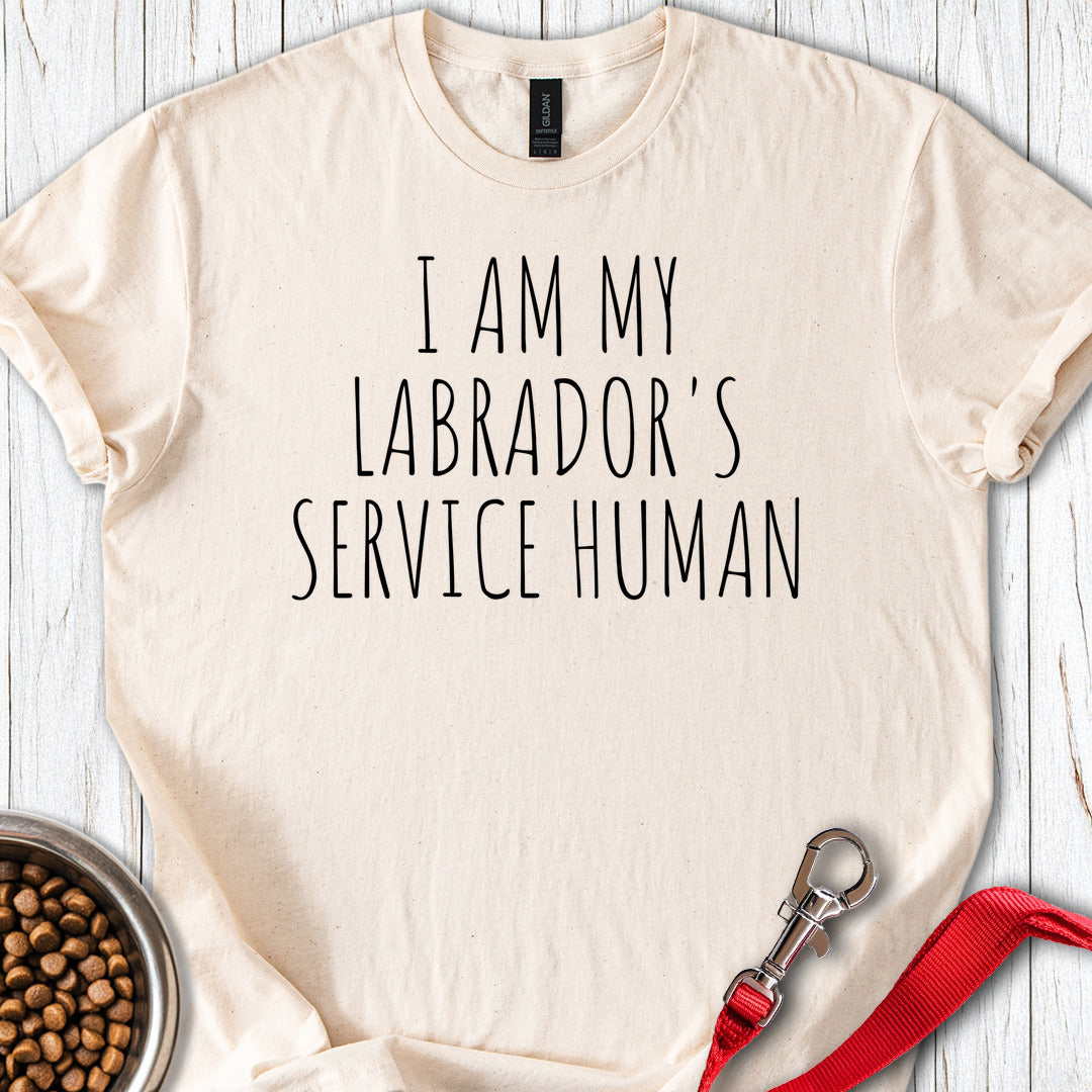 Service Human Labrador Natural