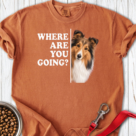 Shetland Sheepdog Where Are You Going Premium Tee — Yam