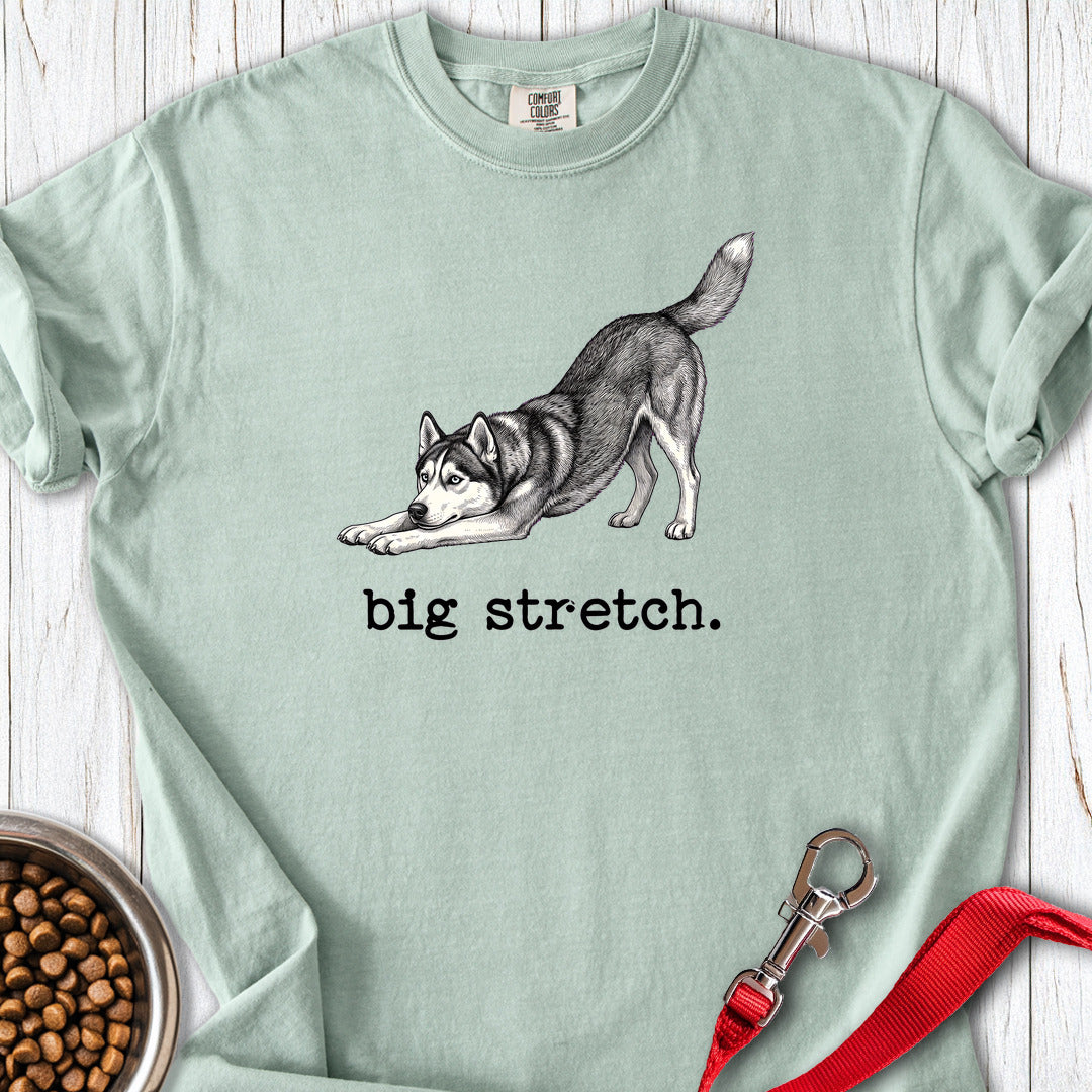 Siberian Husky Big Stretch Premium Tee — Bay