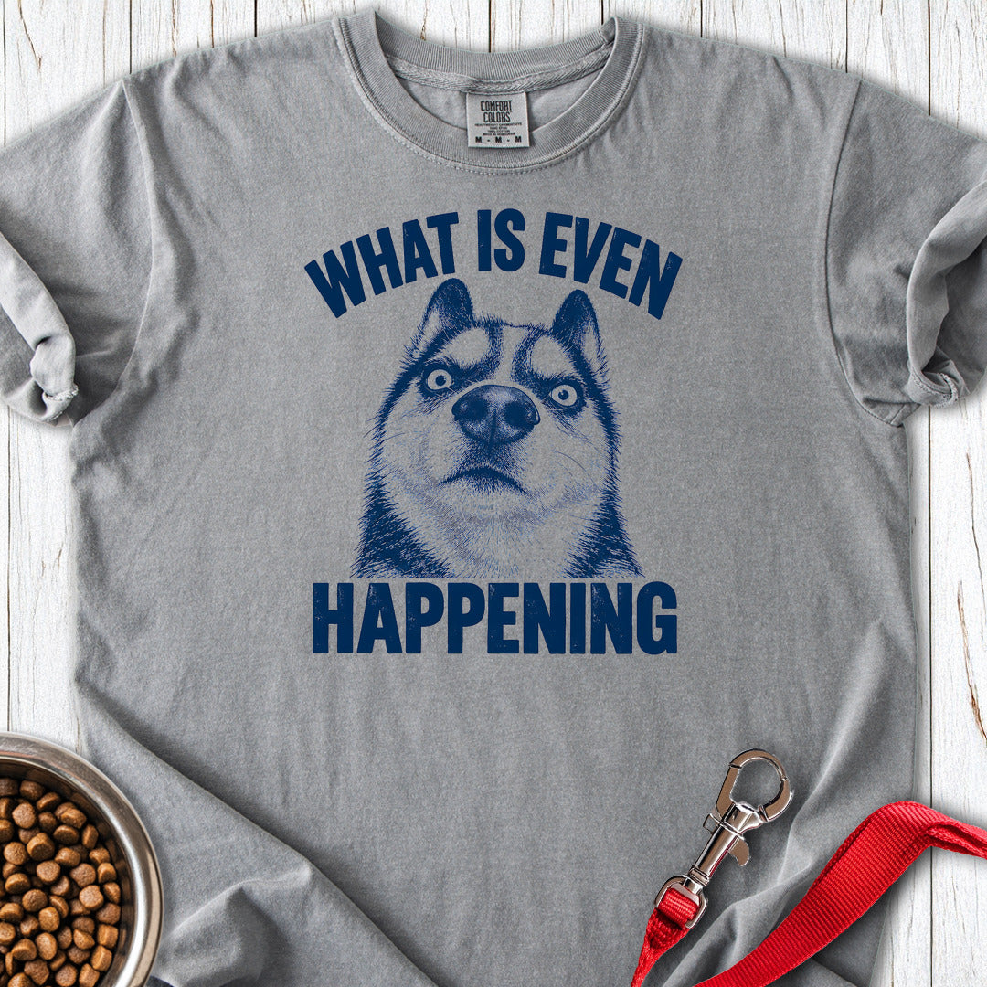 Siberian Husky What Is Even Happening Premium Tee Grey