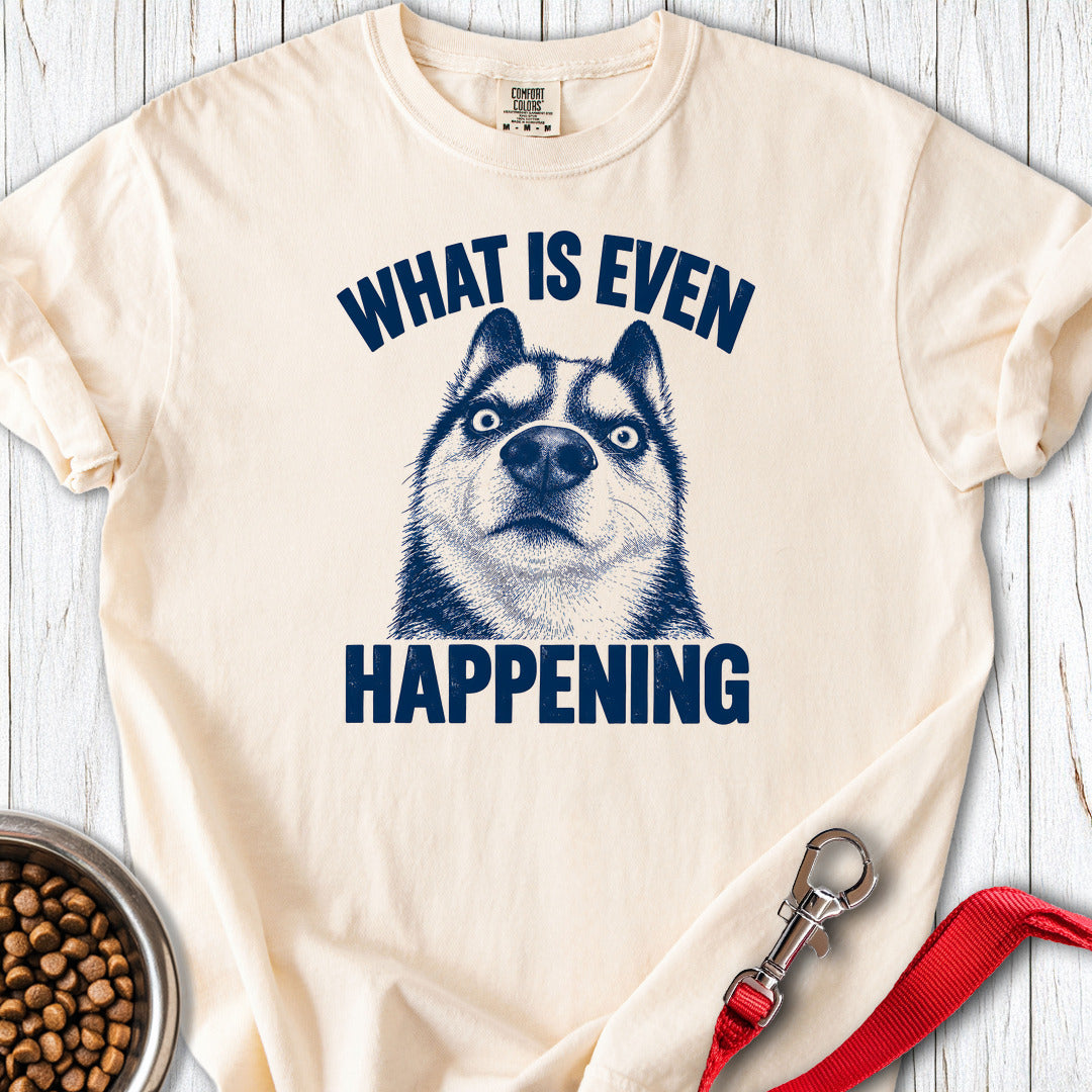 Siberian Husky What Is Even Happening Premium Tee Ivory