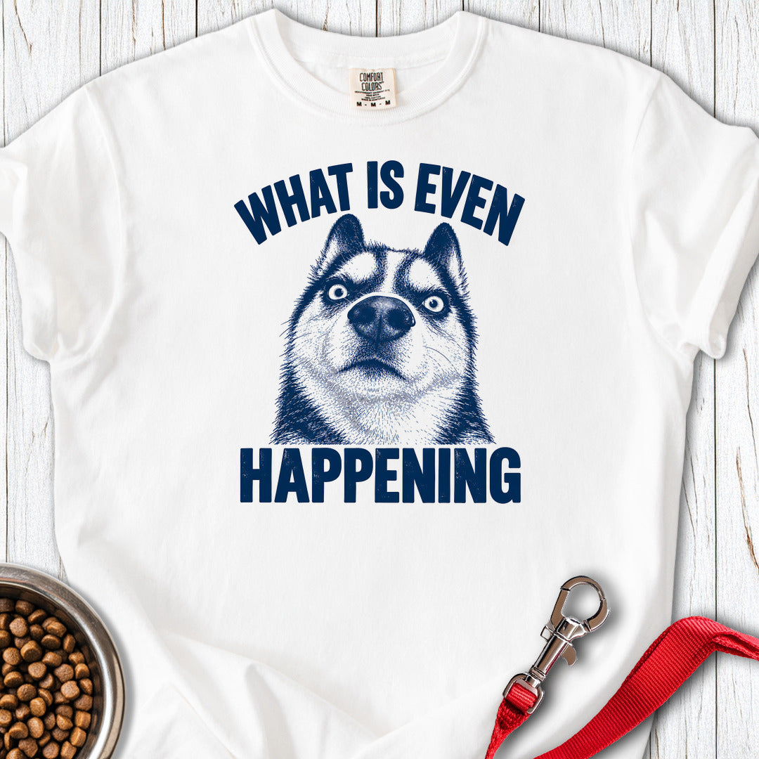 Siberian Husky What Is Even Happening Premium Tee White