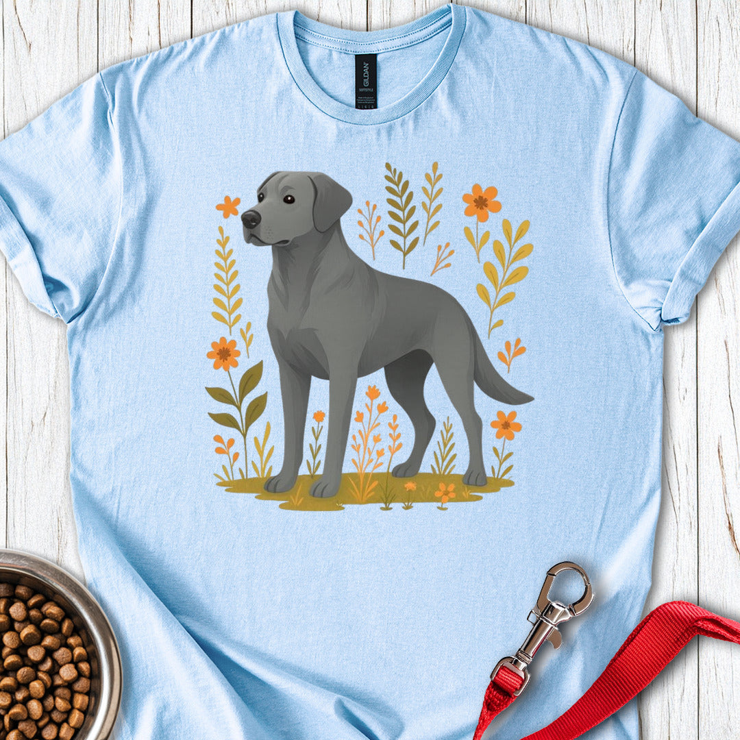Silver Labrador Light Blue
