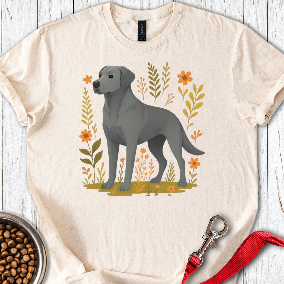 Silver Labrador Natural