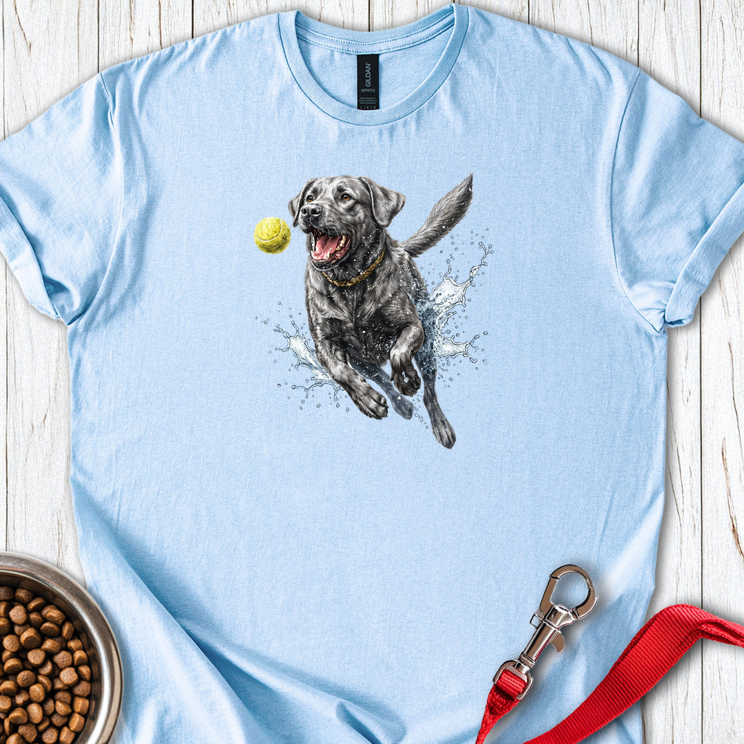 Silver Labrador Running Light Blue