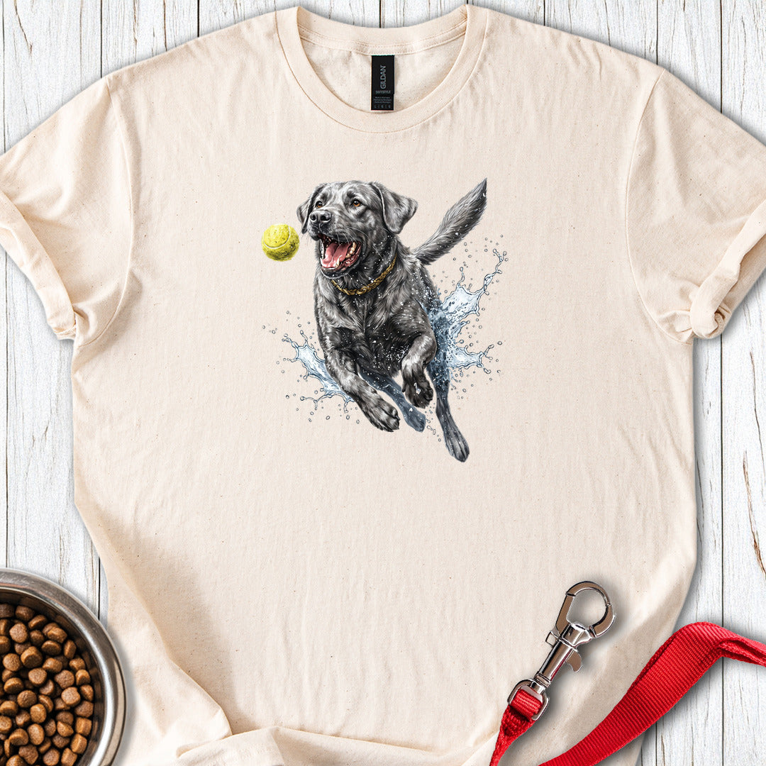 Silver Labrador Running Natural