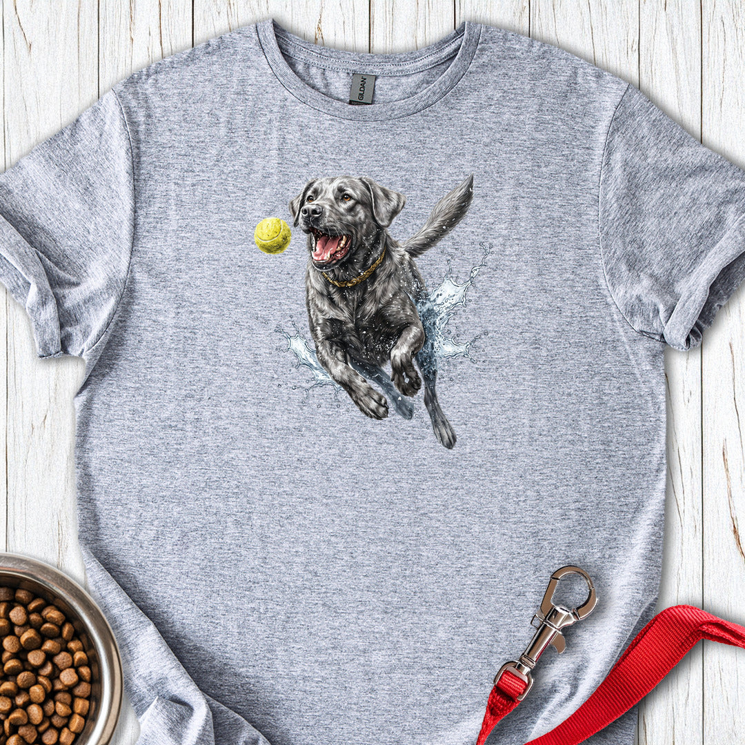 Silver Labrador Running Sport Grey