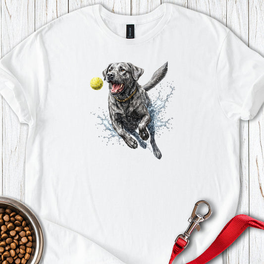 Silver Labrador Running White
