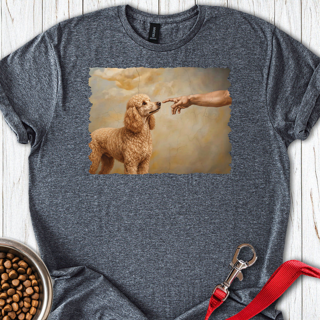 Standard Poodle Creation Apricot Dark Heather