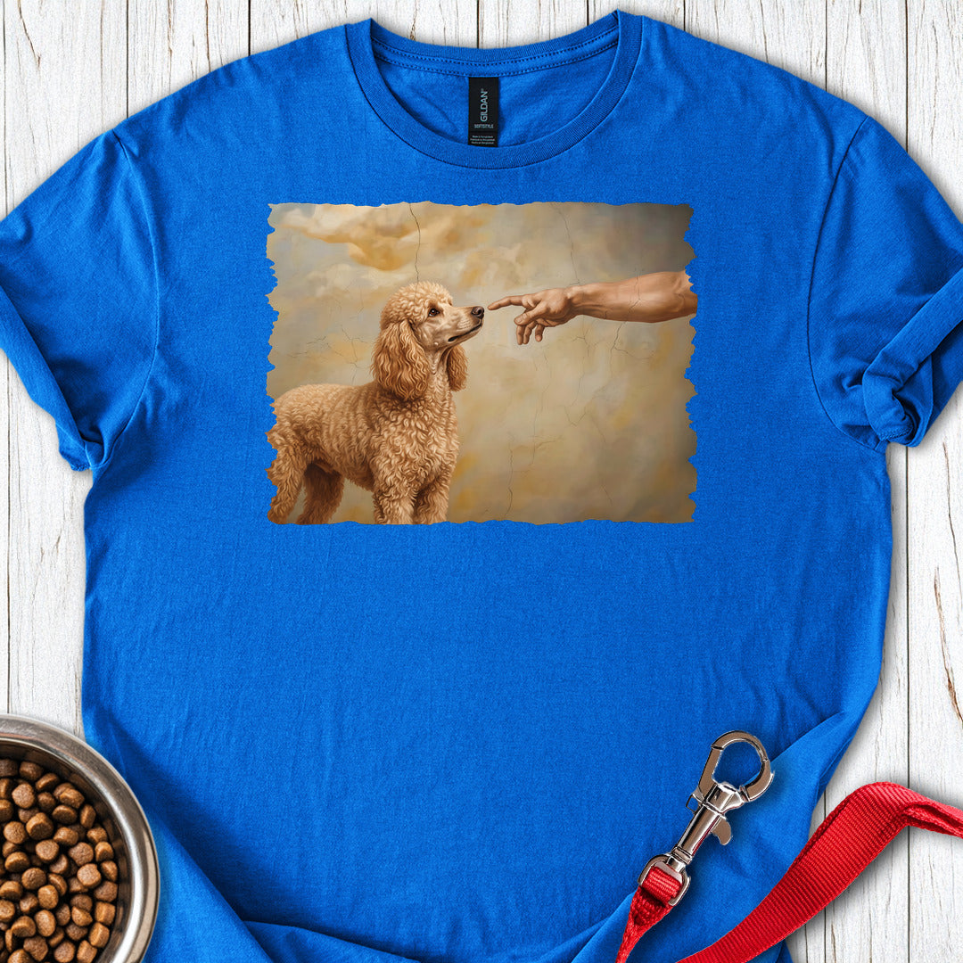 Standard Poodle Creation Apricot Royal