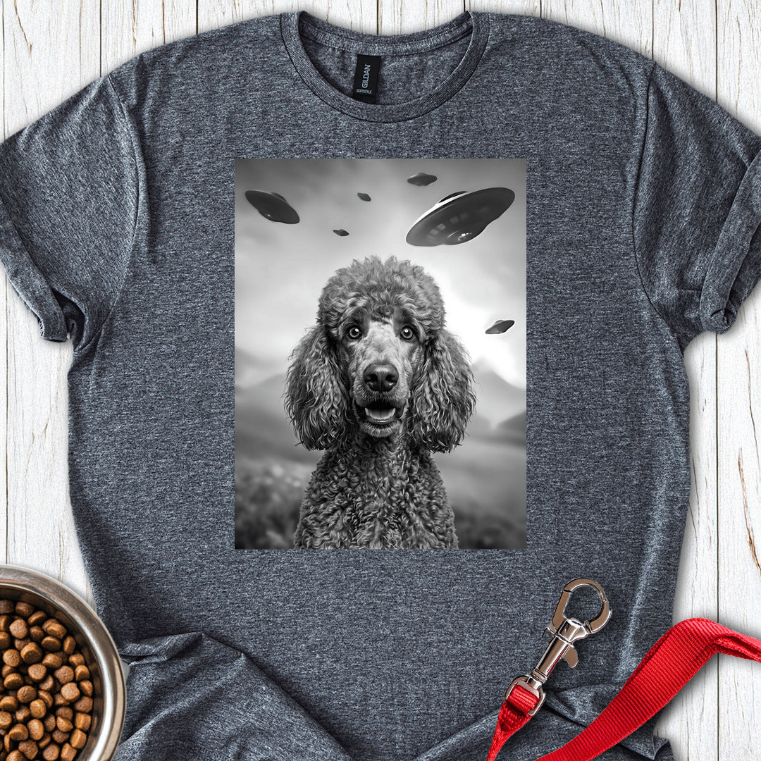 Standard Poodle UFO — Dark Heather