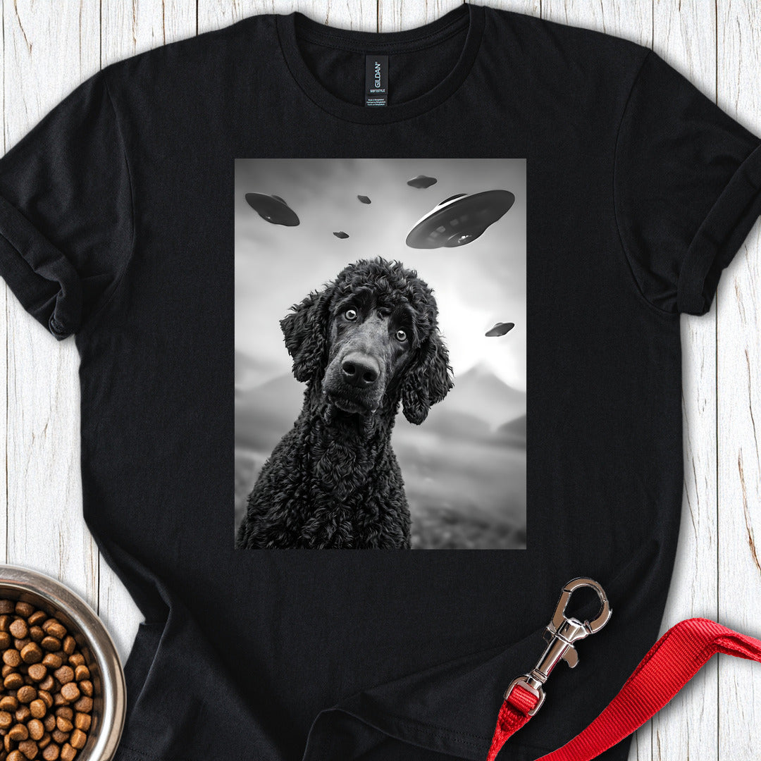 Standard Poodle UFO 2 — Black