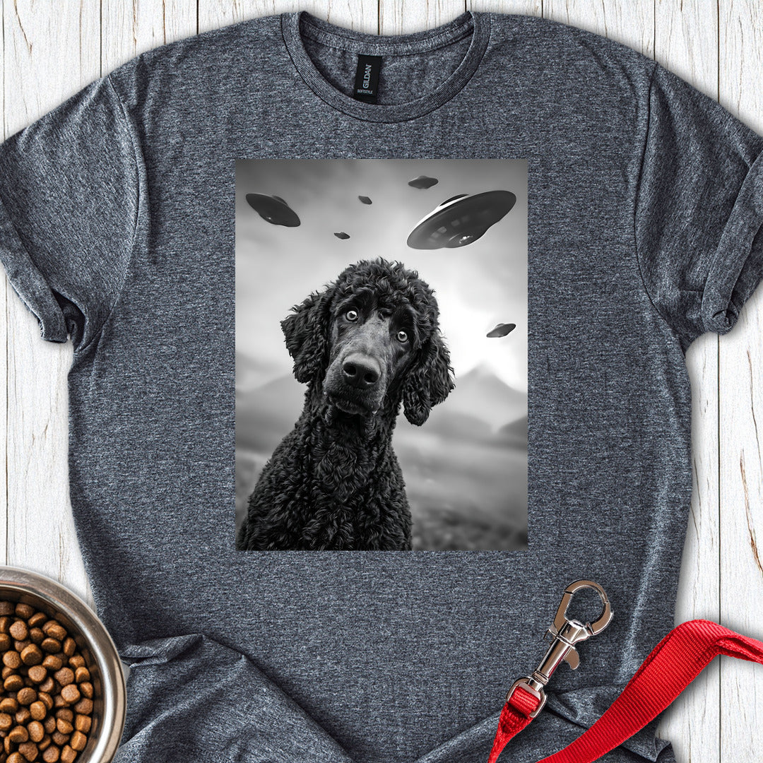 Standard Poodle UFO 2 — Dark Heather