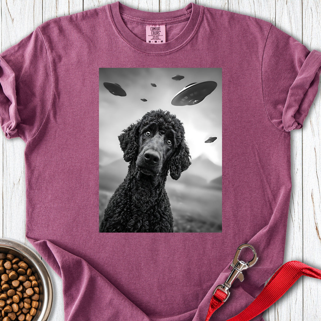Standard Poodle UFO 2 Premium Tee — Berry