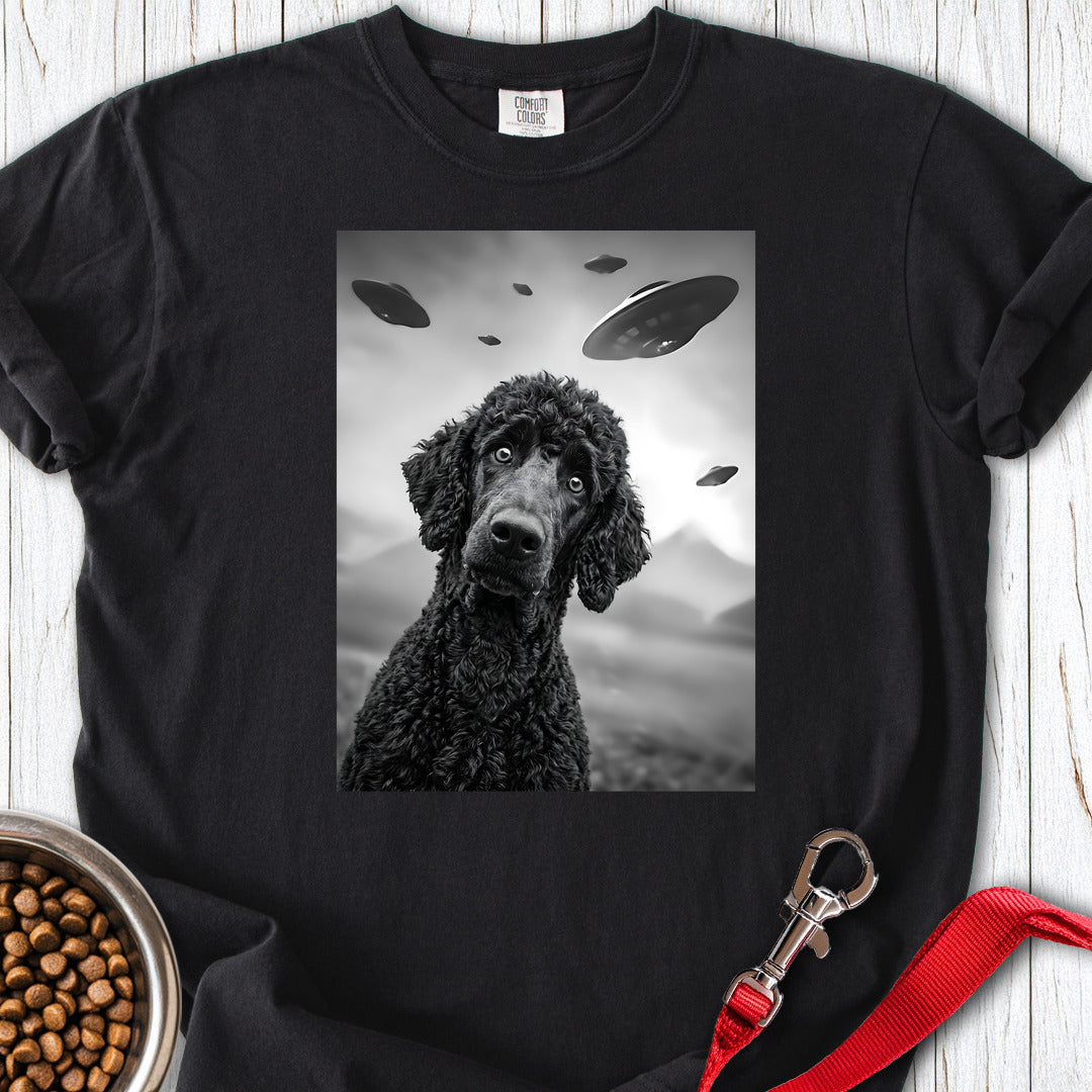 Standard Poodle UFO 2 Premium Tee — Black